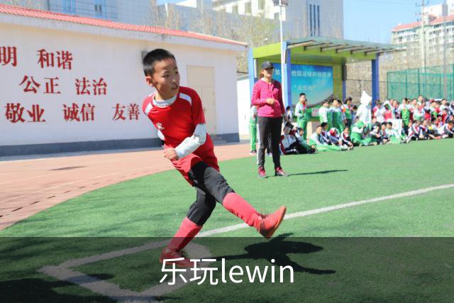 乐玩lewin公司形象图